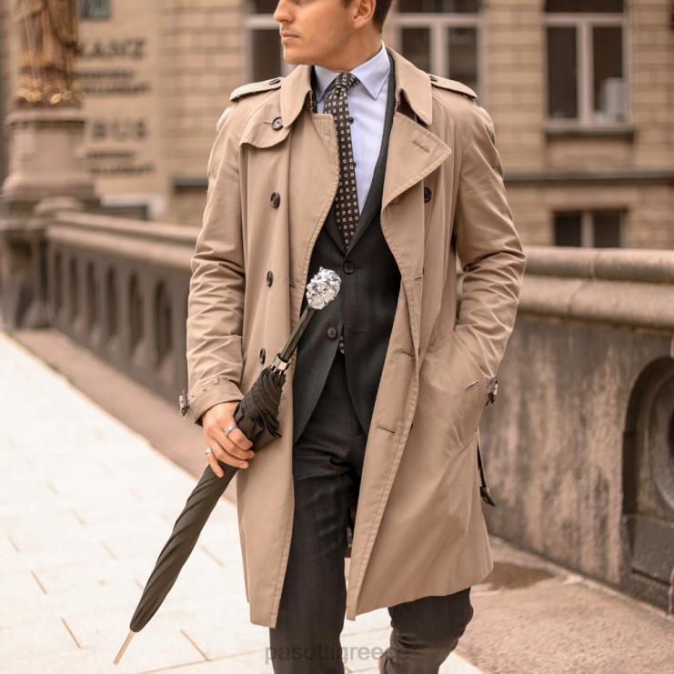 ομπρέλα | PASOTTI 478 6768-6 w37pv - πράσινη ομπρέλα ασημί λαβή λιονταριού 2N6B879 άνδρες